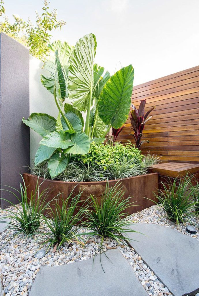 wollongong-landscaping